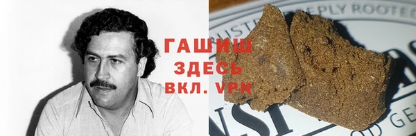 прущие грибы Балабаново