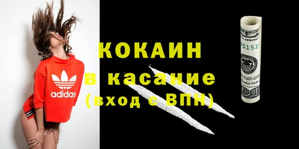 прущие грибы Балабаново