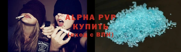 прущие грибы Балабаново