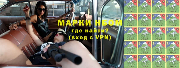 прущие грибы Балабаново