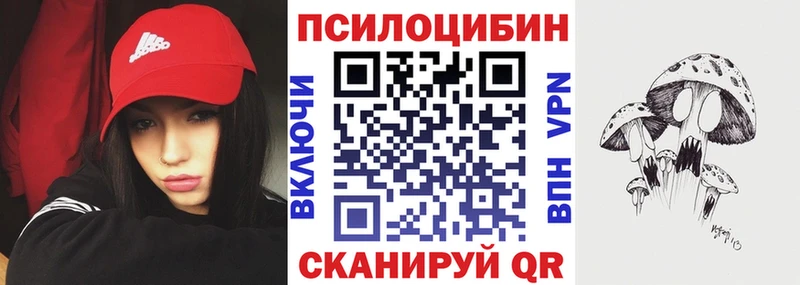 Псилоцибиновые грибы ЛСД  где можно купить   mega ссылка  Ершов 